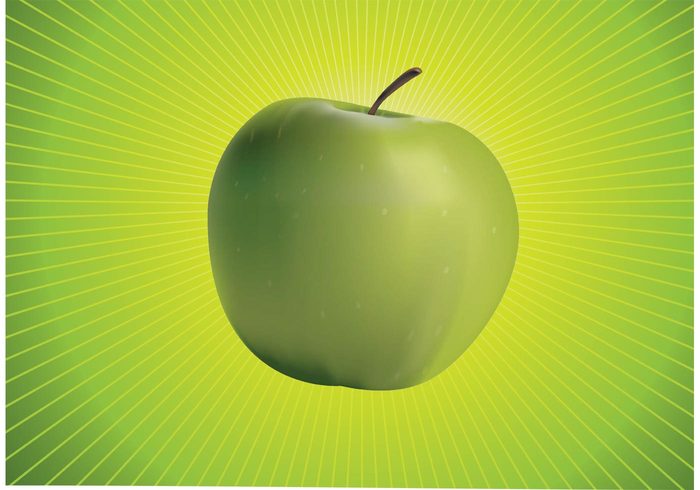 vegetarian snack organic natural isolated Healthy health green Granny fruit fresh food Diet Apple vector apple Alma 