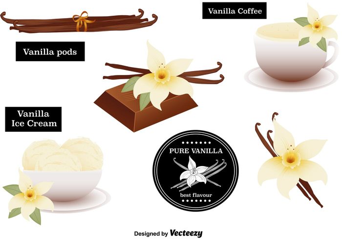 vanilla pod vanilla flowers vanilla flower vanilla spices Spice pod plant nature leaf ice cream Herb floral flavour coffee chocolate aromatic 