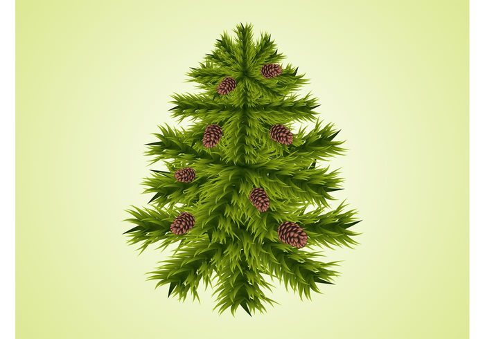 tree needles nature fir evergreen Conifer cones christmas branches 