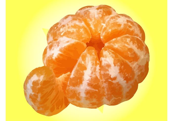 vitamins Tasty sweet segments Ripe plant pieces peeled orange nutrition mandarin lines juicy Healthy health fruit fresh Diet citrus 