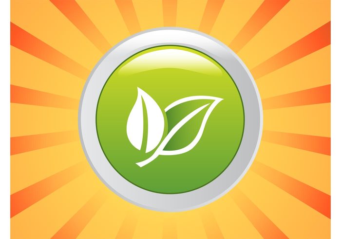 Vector Icon Preserve plant Nature graphics lush Leaf vectors fresh ecology eco circle button badge 