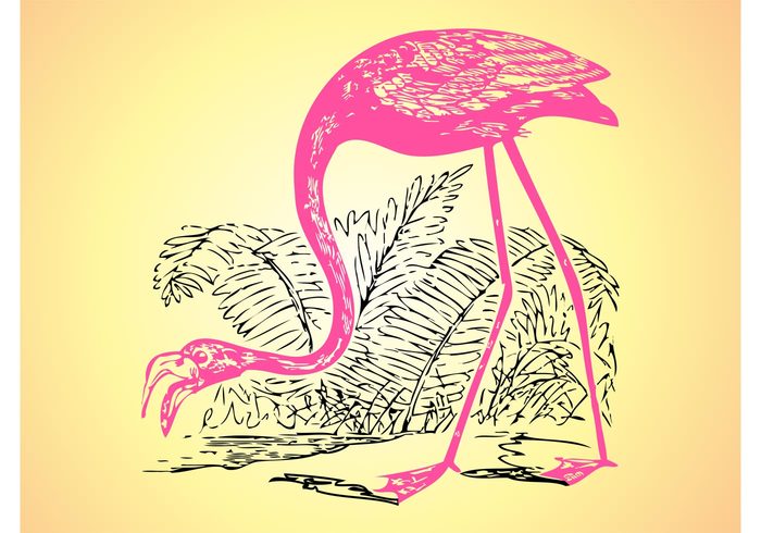 Zoo wildlife sketchy plants Neck legs leaves head hand drawn Flamingo vector fauna bush bird beak animal 