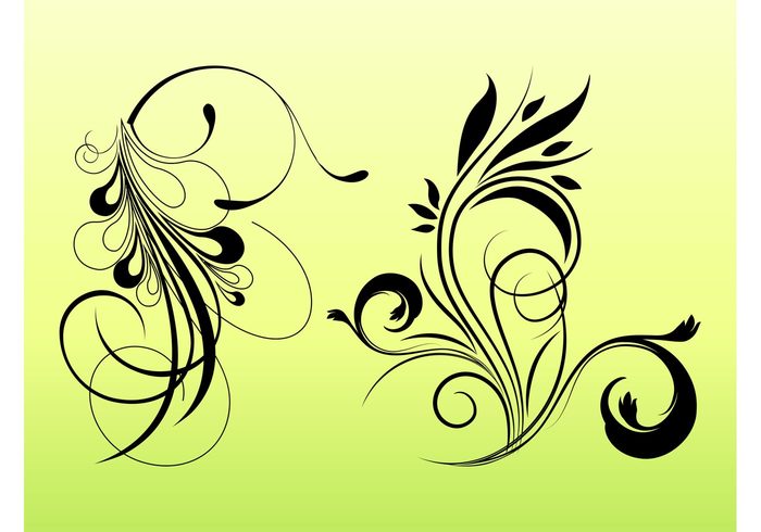waves swirls Stems spirals plants petals nature leaves flowers floral ecology eco decorations 