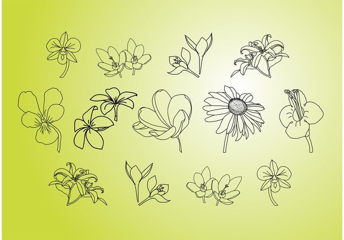 summer spring nature fresh Free footage flowers flower vector Flower drawing floral doodles Doodle vectors 