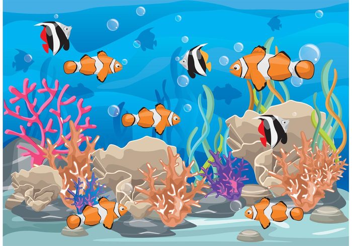 water underwater under the sea tropical fish tropical beach tropical summer seaweed seascape sea plant ocean wallpaper ocean background ocean nature marine life marine fishing fish background diving deep coral reef with fish coral bubble beach 