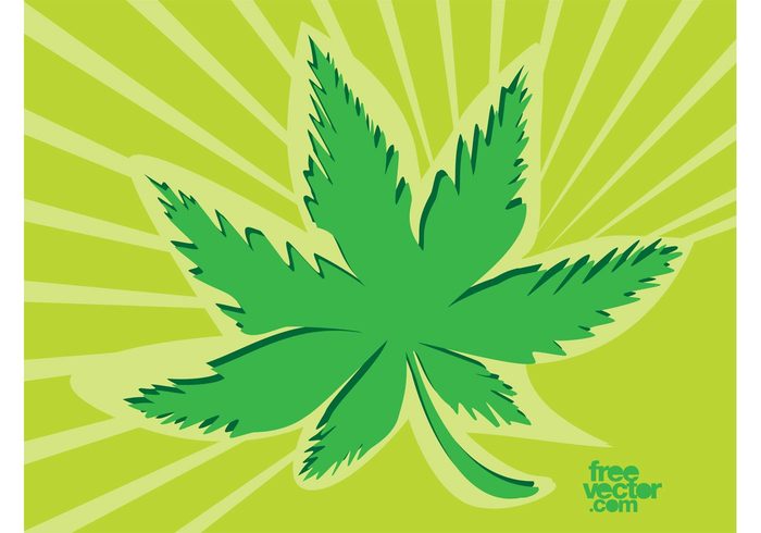 weed Stoned sticker Medical marijuana Marijuana logo icon high drug cartoon Cannabis indica cannabis 