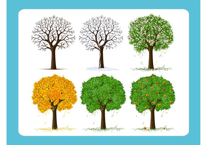 Tree Vector spring natural harvest grow green garden forest foliage Fall blossoms beautiful autumn apple tree 