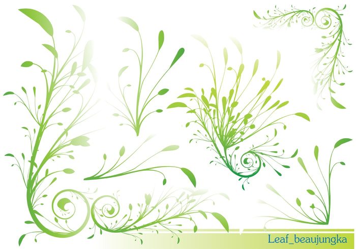 organic leaf green grass eco beaujungka 