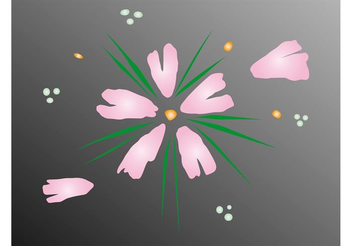 Stems spring plant petals nature floral dots decorative decoration circles blossom abstract 