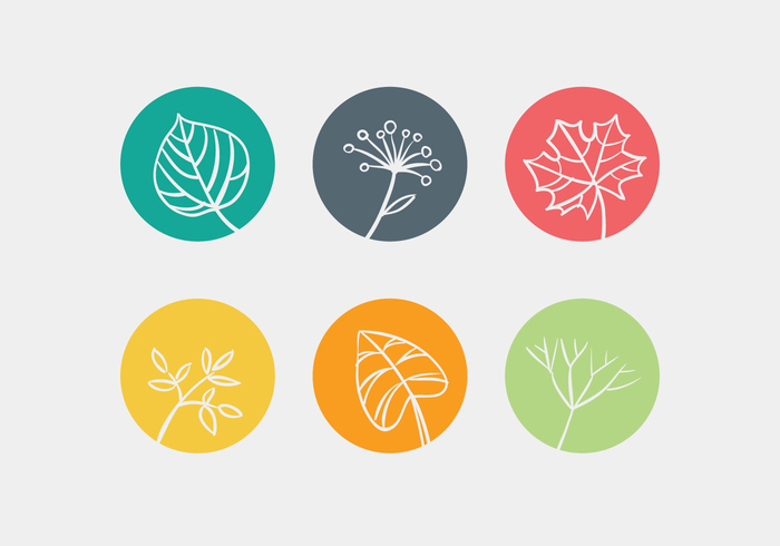 white vector tree summer stem spring silhouette set season plant nature natural maple leave leaf isolated illustration icon green flower Fall ecology design collection clover cartoon botany beautiful autumn abstract 