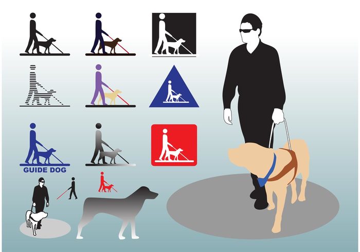 walk Retriever medical leash Labrador Impairment Helper Handicapped Handicap dog disabled Companion Blind 