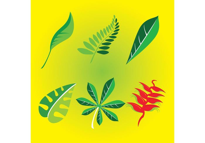 vector art sign nature natural logo leaves leaf label icon graphics environment ecology comic clip art cartoon abstract 