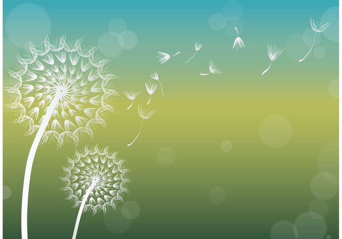 wind weed summer stem soft background sky seed background seed plant pistil overblown outdoors nature mid-air meadow life growth grass garden fragile flying fluffy Fluff flower background flower floral float delicate dandelion seed dandelion cute botany blowing blossom Biology background 