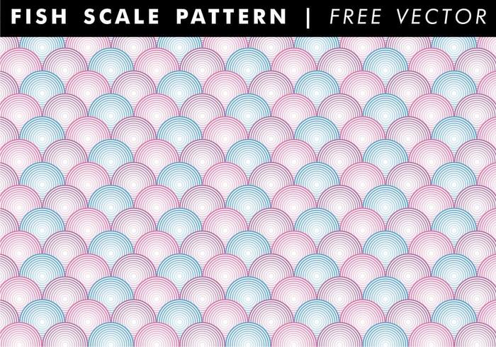 wallpaper vector shapes scale fish pattern vector scale fish pattern free vector scale rounded purple Patterns pattern Magenta free vector free fish scale vector fish scale pattern fish scale fish colors circles cards blue background  