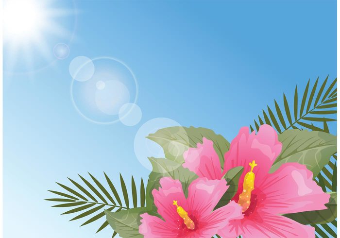 water vector tropical symbol sun summer sky polynesian flower plant pink Palm leaves painting nature islands illustration hibiscus Hawaiian hawaii flower floral drawing design decoration botany blue beautiful art 