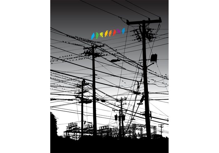 wires wire industry freedom electric color city birds 