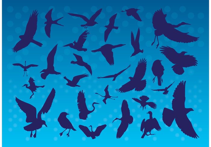 Zoo wildlife vector silhouettes Vector brushes sky illustrator brush flying fly feather birds bird vector 