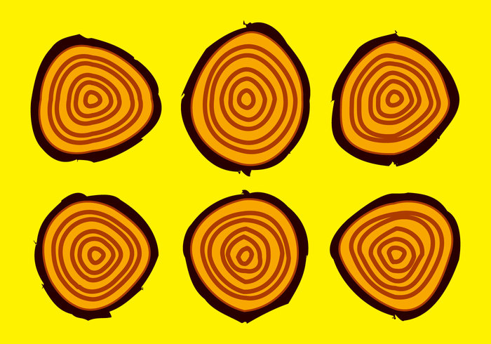 wood tree rings tree toon rings plant pine nature natural green fresh forest cartoon 