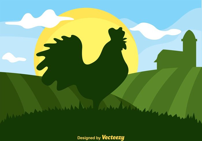sun sky silhouette roosters rooster silhouettes rooster silhouette rooster rolling hills rolling hill poultry hill green grass Fowl field farming farm background farm cock cloud barn animal agriculture 