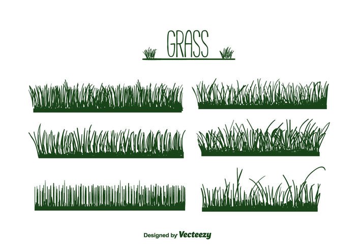 vector silhouette shape set plant nature natural lawn isolated illustration Herb grass silhouette grass flora collection background 