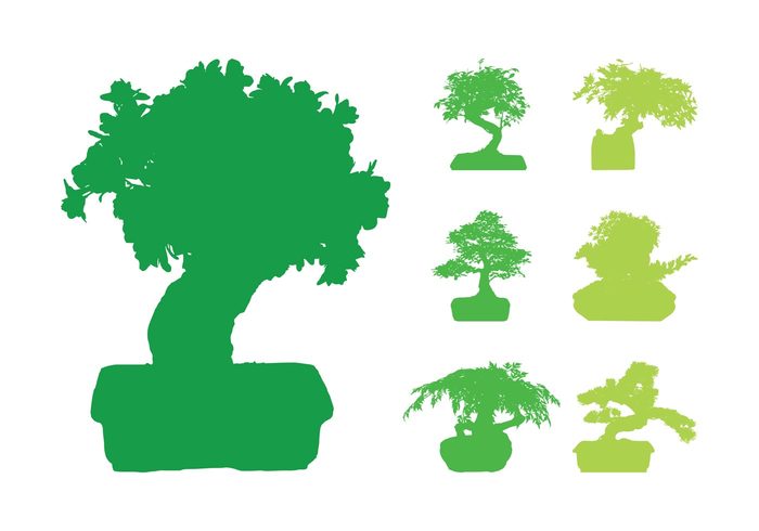trunks trees tree silhouettes silhouette Potted plants plants Japanese japan branches bonsai 