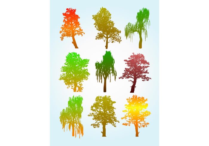 yellow trees red plants orange nature leaves leaf landscape jungle green gradient ecology colorful botany 