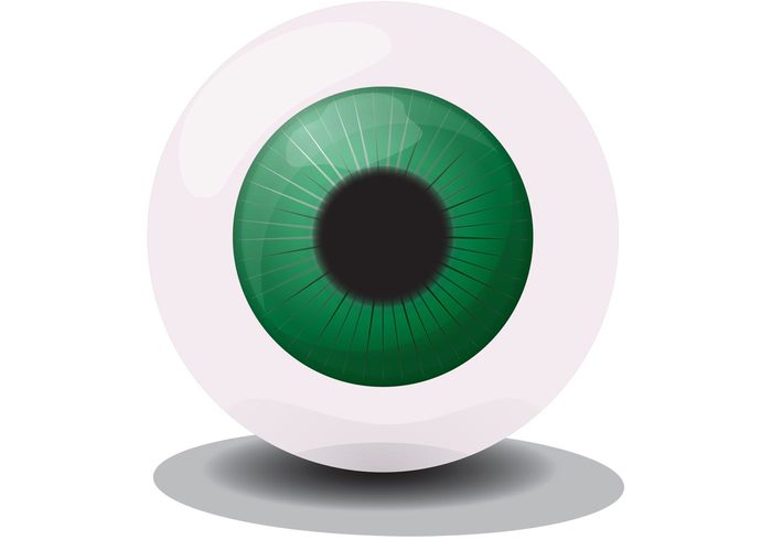 pupil Iris green eye green eyeball eye body part 