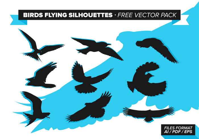 silhouettes silhouette parrots parrot flying parrots flying parrot flying eagles flying eagle flying birds flying bird silhouettes flying bird silhouette eagles eagle birds  