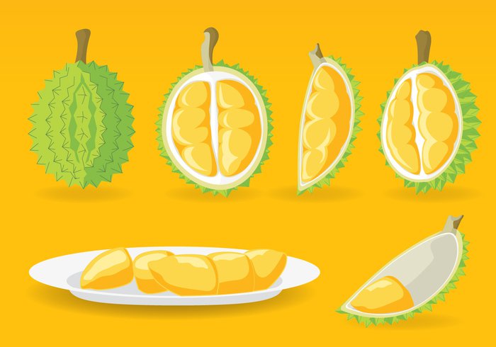 yellow vector tropical sweet Ripe nature illustration green graphic fruit fresh food exotic durian design delicious background Asian asia 