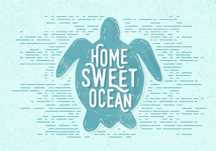 words wildlife water wallpaper vector vacation underwater typographic type turtle travel text template summer sketch sea scribble rough postcard paint oceanic ocean nautical nature Messy marine Lettering inspirational illustration holiday headline handwritten Handwriting hand grunge font drawn design decorative decoration decor creative card calligraphy calligraphic blue background art animal advertising advertisement 