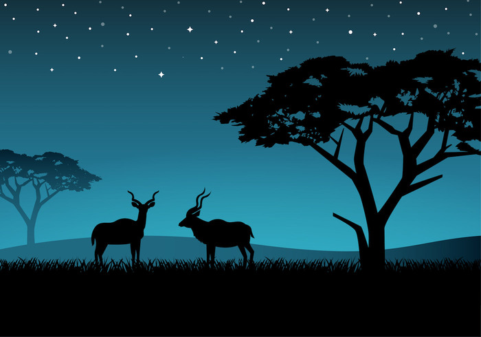 wildlife wild vector tree tourism stars standing south sky silhouette Savannah savanna safari park Outdoor one nature national mammal male late kudu illustration horn grass game field exotic evening Buck blue background animal agile afternoon african africa Adult 