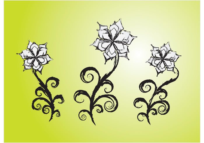 summer spring sketch retro outline ink illustration hand drawn flower floral elegance drawing decoration botany antique 