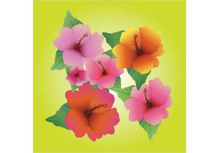 vacation tropical travel tourist Textile summer spring party island Hula holiday hibiscus hawaii flower floral colorful blossom beautiful background aloha 