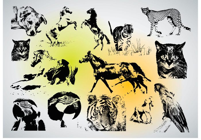 wildlife tigers puppy Pets vector parrot leopard kitten horses Domestic dog cat birds Animal vectors 