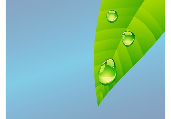 water tree shiny shines Reflections realistic rain plant organic nature vector natural morning drops droplets 