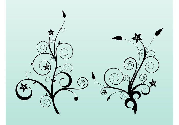 swirls summer Stems spring spirals silhouettes plants petals leaves floral decorative decorations 