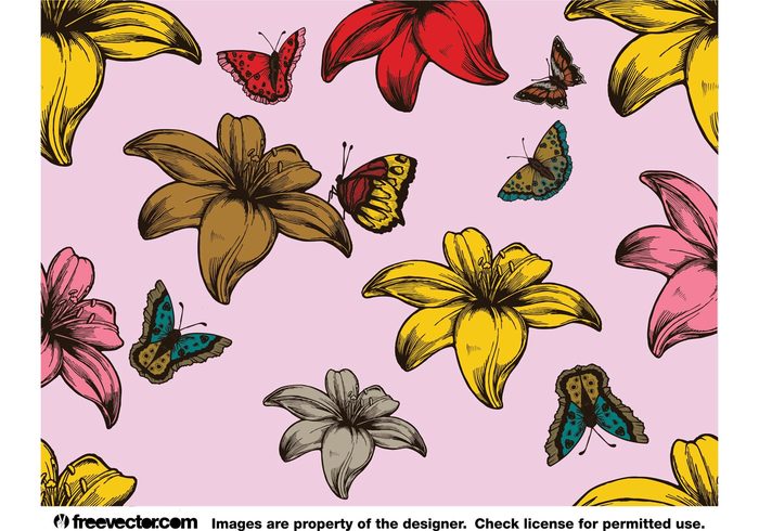 yellow red pink petals paradise insects freedom free download flowers colorful color butterflies brown 