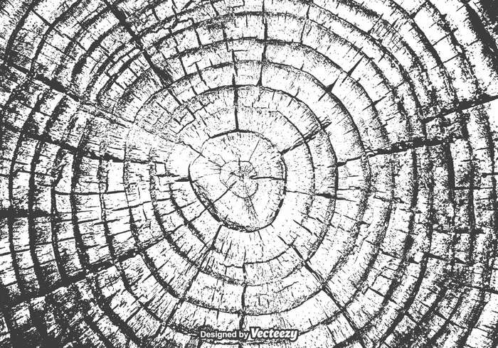 Years wooden wood vector trunk tree rings tree timber textured texture Surface stump striped Split slice shape rough ripple ring plywood plant pattern organic oak nature natural line life history growth forest drawn design cut crack Conceptual CONCENTRIC circular circle background Annual Age abstract 