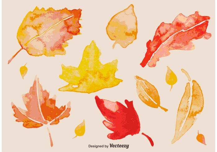 yellow watercolour watercolor vibrant tree texture seasonal season red plant paper paint orange nature natural maple leaf isolated illustration hand graphic foliage Fall drawn drawing decoration colorful brush background autumn 