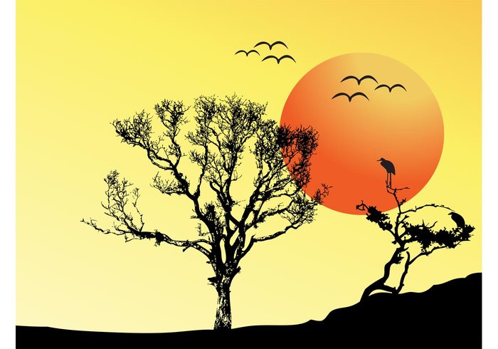 wilderness wallpaper trees sunset sunrise sun silhouettes nature fly branches birds background 