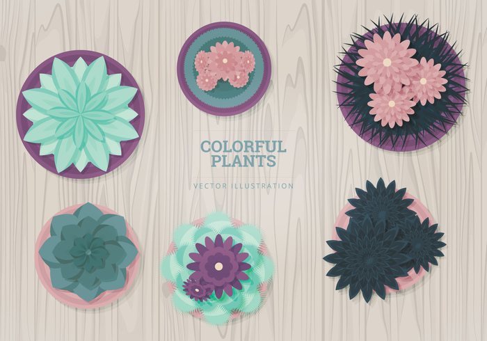 Vector illustrations vector illustration top view set Potted plants plants top view plants planter plant top view plant pink flowers objects nature leaves leaf green flowers flower elements collection 
