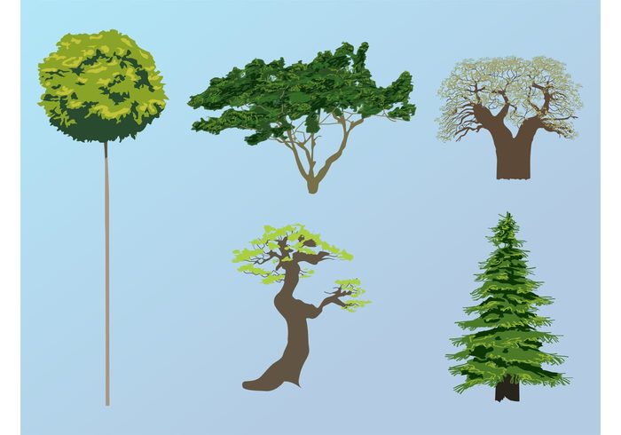 vector trees trunks trees stickers plants organic nature natural leaves forest ecology eco crowns bark 