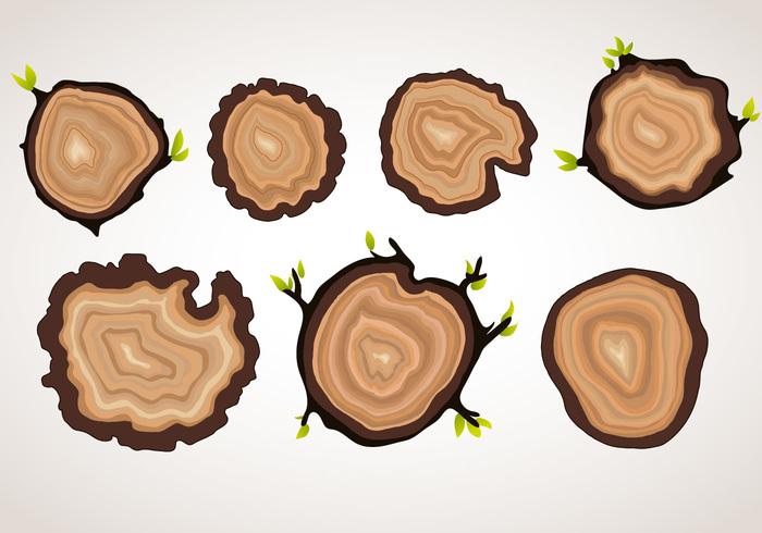 yellow Years wooden wood white wallpaper view vector trunk tree rings tree top timber textured texture stump Split slice set section round ring pine pattern old nature natural material lumber Log life isolated industry history growth forest firewood environment Detail cut cross CONCENTRIC closeup circular circle brown background Annual Age 