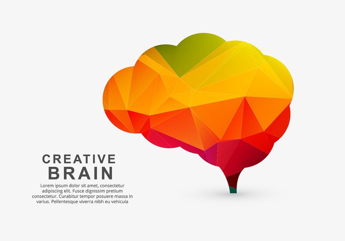 Thoughts think right polygonal brain mind iq ideas Idea Human creative concept colorful brain colorful brain wallpaper brain power brain background brain 
