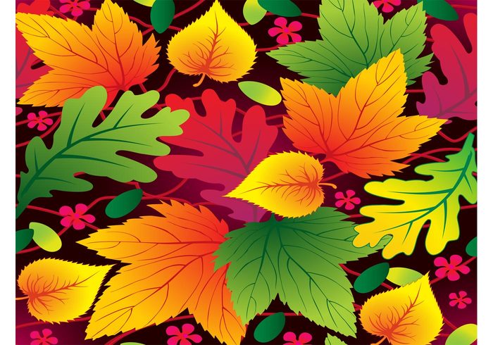 tree seasons seasonal Nature design Leaves vector leaf greeting cards forest foliage Fall colors colorful autumn 