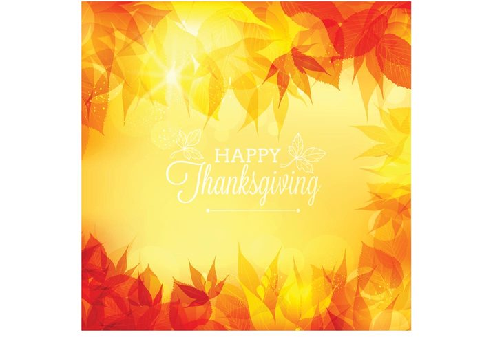 you vintage vector typography turkey thanksgiving border thanksgiving Thankful thank text template sign seasonal season red poster postcard outside November nature leaves label holiday harvest greeting graphic Fall design decorative decoration day Conceptual concept celebration card bokeh blurry blurred blur background autumn abstract 