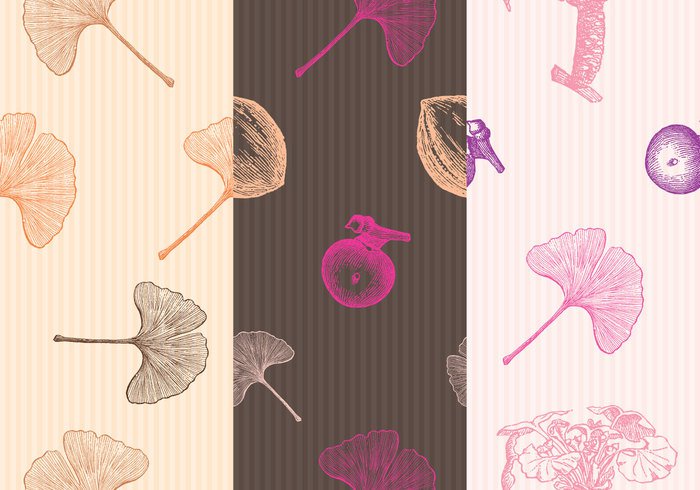 vintage unique texture template style silhouette seed season retro plant pattern pastel nature ginko pattern ginko background ginko Fall element design decoration color beauty background agriculture abstract 