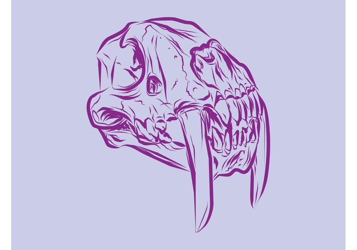 teeth tattoo skull sketch skeleton scary nature horror hand drawn Fangs death dead bones animal skull animal  