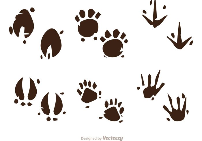 wildlife webbed track silhouette print muddy footprints muddy footprint mammal impala horse Hoof footprint foot duck dog dirty Claw catlike bird bear animal tracks animal footprint animal 