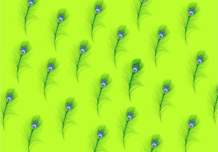wallpaper pattern wallpaper texture Textile tail style seamless Repetition peacock patterns peacock pattern peacock feather peacock pattern ornate ornament nature green feather pattern feather background feather decorative decoration decor birds feather bird Backgrounds background 
